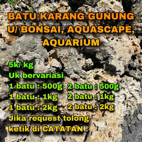 Jual Batu Karang Gunung Untuk Bonsai Dan Aquarium Kota Semarang Mtg