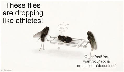 The Flies Have It Imgflip