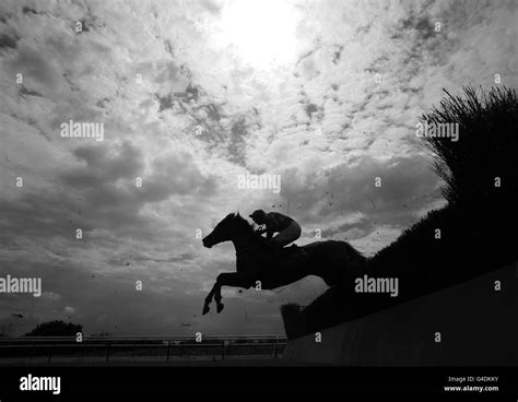 Horse racing races gspo silhouette shadow horse sky clouds jump hi-res stock photography and ...