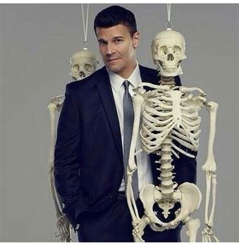 David Boreanaz from BONES | David boreanaz, Bones, Seeley booth