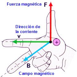 CLUSTER divulgación científica La regla de la mano derecha