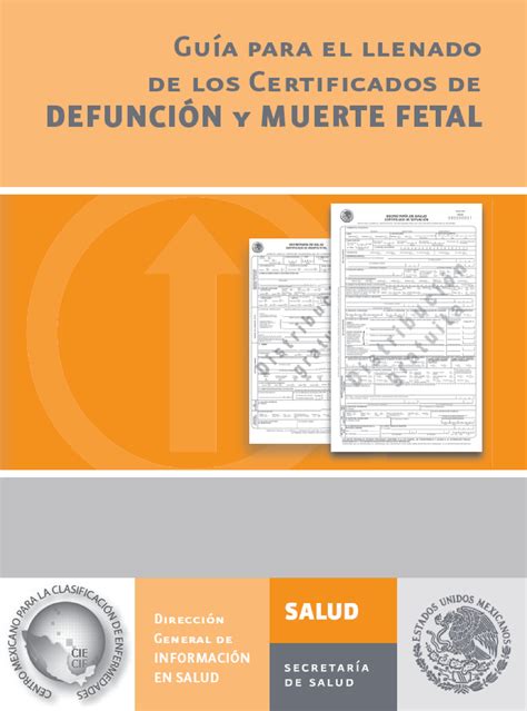 Guia Llenado Cert Defuncion Y Muerte Fetal Gu A Para El Llenado De