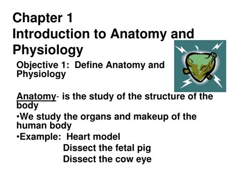 PPT Chapter 1 Introduction To Anatomy And Physiology PowerPoint