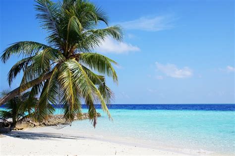 Maldives Ranks Among Worlds Best Destinations In Tripadvisor Travelers