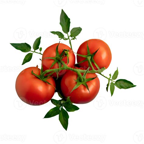 AI Generated Fresh Red Tomatoes With Leaves Isolated On Transparent