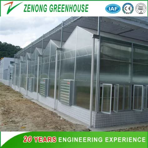 Hot Dip Galvanized Steel Frame Agricultural Venlo Type Polycarbonate