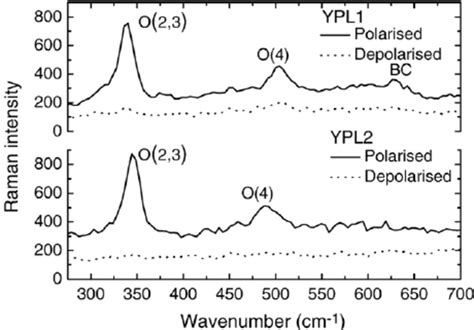 Typical Polarized And Depolarized μ Raman Spectra Acquired On Ypl1