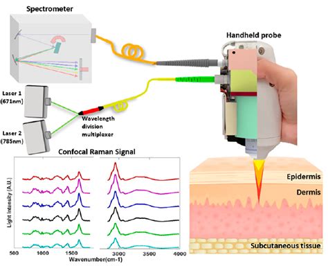 Simultaneous Dual Wavelength Source Raman Spectroscopy With A Handheld