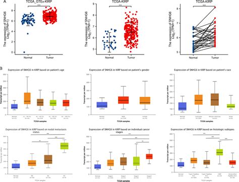 Expression Of SNHG6 In KIRP And The Relationship Between SNHG6