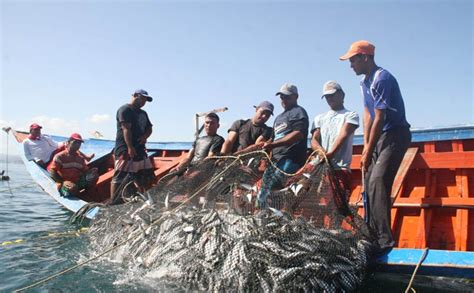 Subsisten 500 Millones De Personas De Pesca Y Acuicultura Artesanal