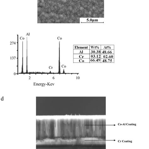 Surface FE SEM EDS Micrographs Of As Deposited Cr Co Al Coatings On