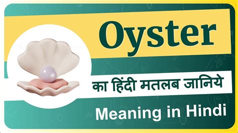 Oyster Meaning In Hindi Oyster Ka Matlab Kya Hota Hai Oyster Means