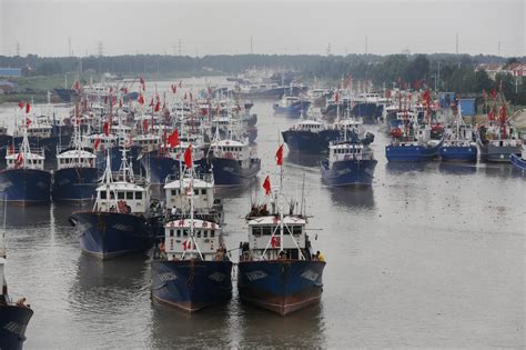 黄渤海东海海域开渔 千帆出港场面壮观三农频道央视网