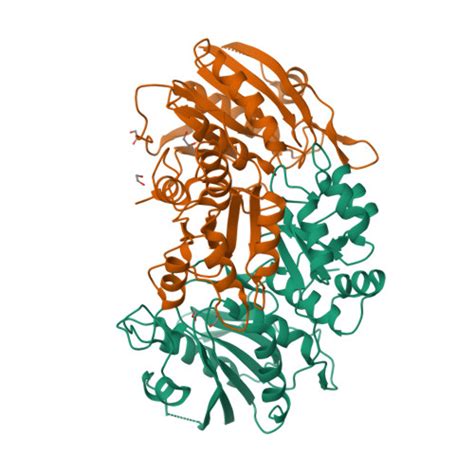 Rcsb Pdb Wnf Crystal Structure Of Ph From Pyrococcus Horikoshii