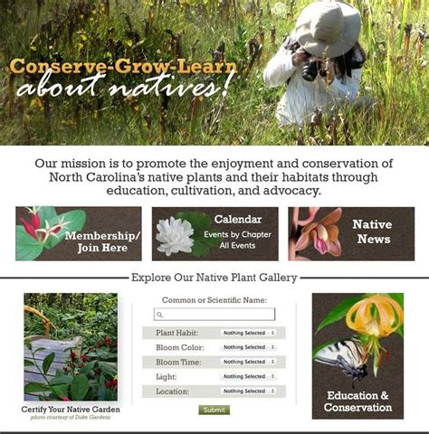 Home North Carolina Native Plant Society Native Plants North Carolina Gardening Pollinator