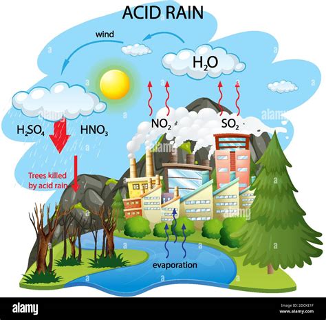 Acid Rain Effects On Humans