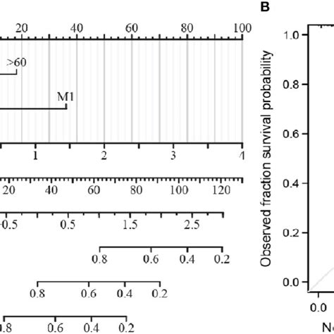 Establishment Of A Prognostic Prediction Nomogram And Calibration Plots