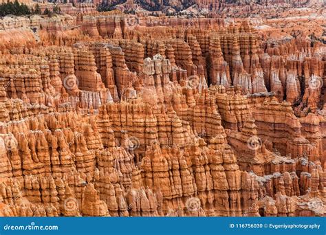 Unique Hoodoo Rock Formations in Bryce Canyon, USA Stock Photo - Image ...