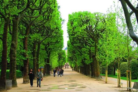 Jardin Des Plantes Paris Picnic Mon Blog Jardinage