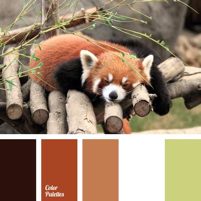 orange-brown colour | Color Palette Ideas