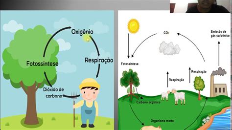 Aula Ciclo Do Carbono E Do Oxig Nio Youtube