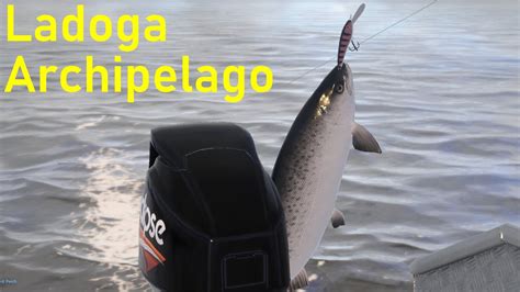 Russian Fishing 4 Salmon Zander Ladoga Archipelago Rf4 Spot 145 Youtube