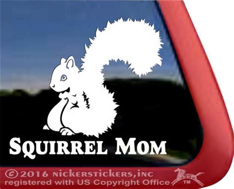 Squirrel Decals And Stickers Nickerstickers