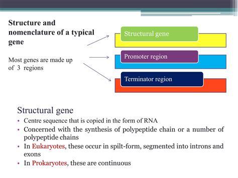 Transcriptional And Post Transcriptional Regulation Of Gene Expression