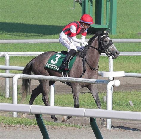 【注目馬動向】ウインピクシスは中山牝馬sで重賞初v狙う 1800メートルは全4勝の得意距離 ライブドアニュース