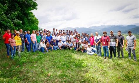 Onesvie Realiza Jornada De Reforestación Con Miles De árboles En Coordinación Ministerio Medio