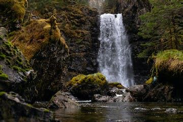 Fox Island Day Trip | Kayak Adventures Worldwide