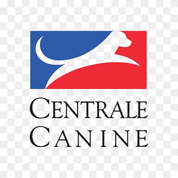 Free download Pointer Belgian Shepherd Société Centrale Canine