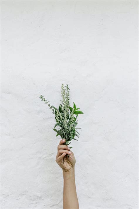 How To Make Your Own Dried Herb Mix