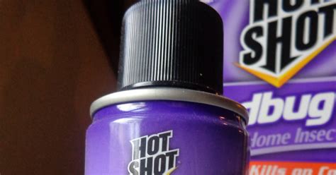 Hot Shot Bed Bug And Flea Fogger Customer Review Dengarden