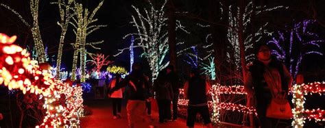 Meadowlark Botanical Gardens Light Walk | Holiday lights, Christmas in ...