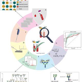 Workflow Of Nglycosylation Analysis Of Discovery And Validation