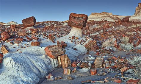 Petrified Forest National Park | Drive The Nation