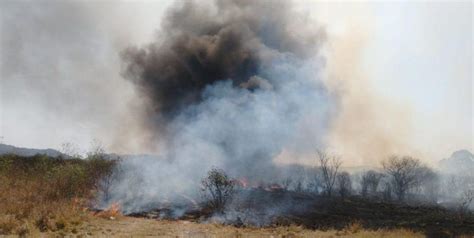 Cuatro Provincias Continúan Afectadas Por Incendios Forestales El Litoral