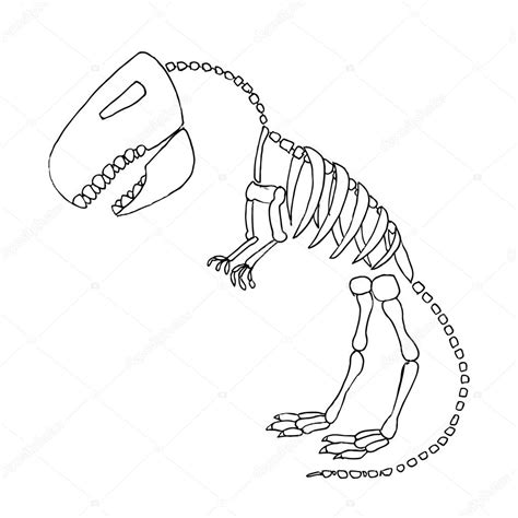 Tyrannosaurus Rex Skeleton Drawing at GetDrawings | Free download