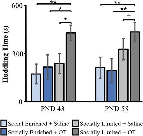 The Effects Of Early Life Social Experience And Intranasal Treatment On