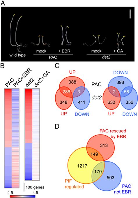 Figure 1 From Molecular Mechanism For The Interaction Between