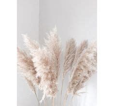 Ideas De Fondos Nude Para Guardar Hoy Decoraci N De Unas Iphone Fondos De Pantalla Ideas