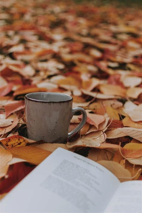 Photo By Lil Artsy On Pexels Fall Wallpaper Autumn Quotes Iphone