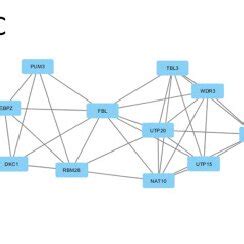 The Five Significant Modules Identified From The Zero Order