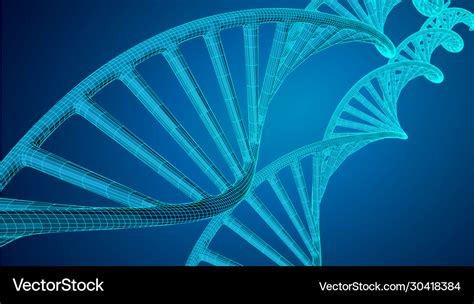 Genome Dna Struktur Eps Lizenzfreies Vektorbild