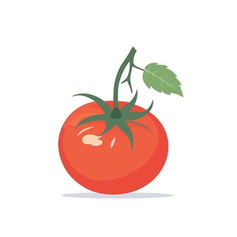 Tomato Clip Art Vector Illustration Vector Art At Vecteezy