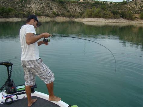 Stage De P Che Des Carnassiers Sur Le Lac De Mequinenza