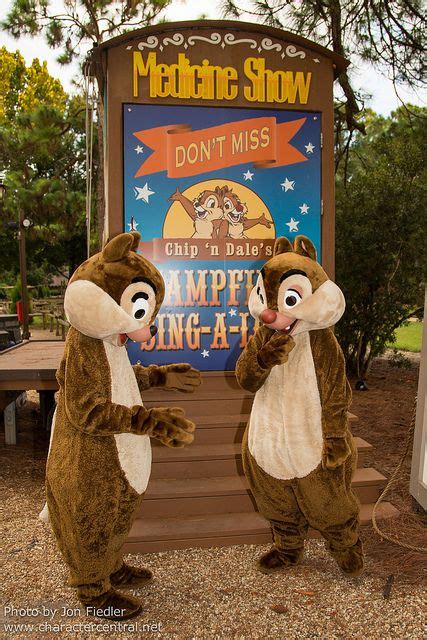 Wdw Sept Chip N Dale S Campfire Sing A Long Artofit