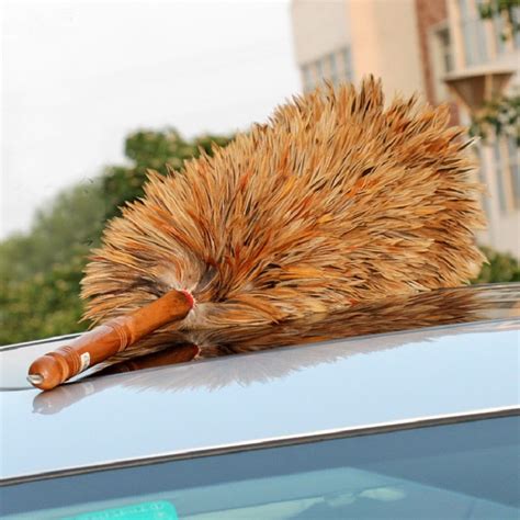 Long Chicken Feather Duster Clocore