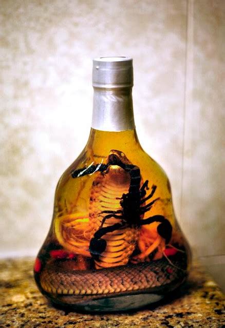 Chinese Snake Wine This Bottle Of Wine From Beijing Has An Flickr